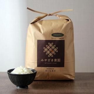 ������̵����ͭ������100�� ���̺�����  �����ҥ��� ��10kg��<img class='new_mark_img2' src='https://img.shop-pro.jp/img/new/icons30.gif' style='border:none;display:inline;margin:0px;padding:0px;width:auto;' />