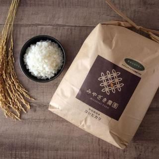 ������̵����ͭ������100�� ���̺����� �����ҥ��� ��5kg�� <img class='new_mark_img2' src='https://img.shop-pro.jp/img/new/icons30.gif' style='border:none;display:inline;margin:0px;padding:0px;width:auto;' />