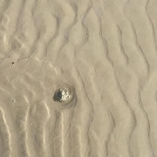 TѥڡSateto turquoise  lapis lazuli