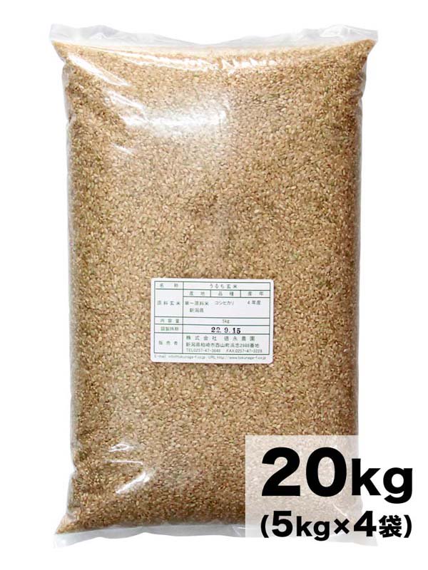 20kg-　コシヒカリ　玄米