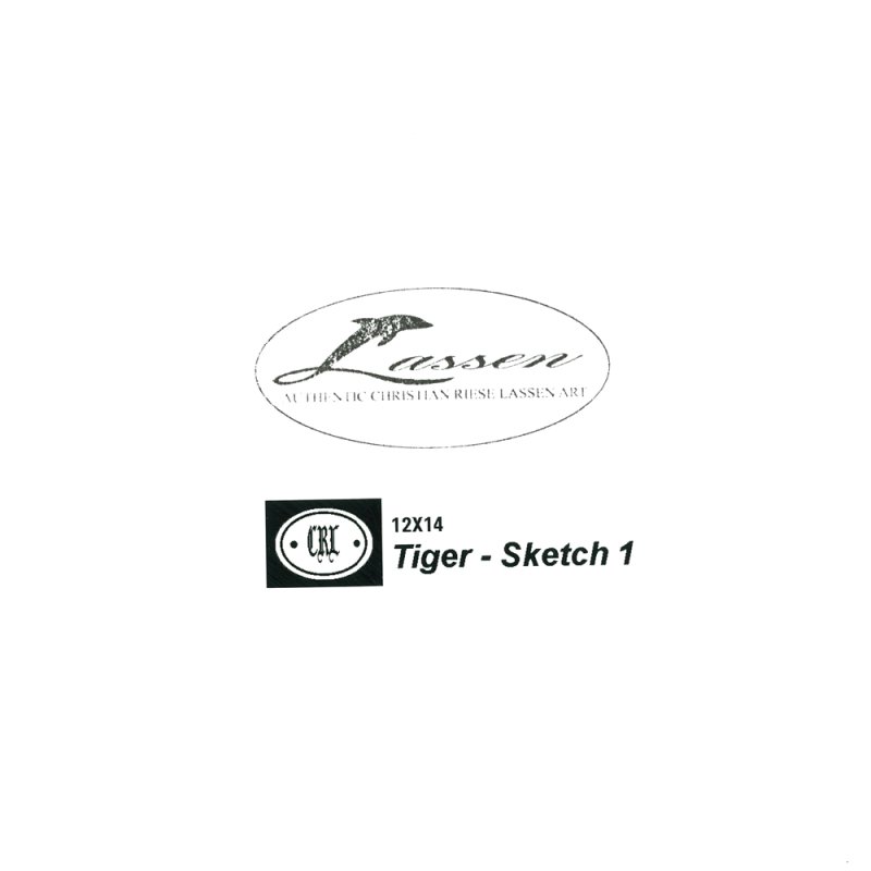 Tiger Sketch | クリスチャン・ラッセン | アート・オブ・ライフ 株式会社 | 日本正規販売代理店