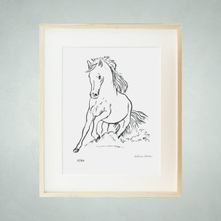 Horse Scketch