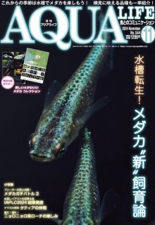 最新号アクアライフ11月号 - SAVANNA