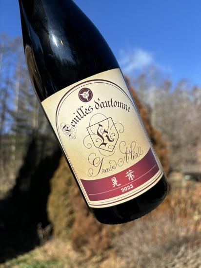 �����ߥ塼��������ࡡFuilles d��automne ����2023��