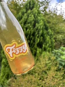 KIYO WinesFizzy DELAWARE 2024