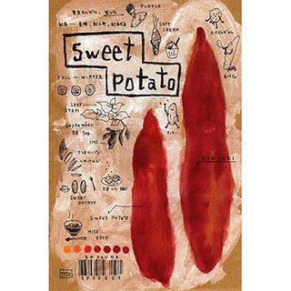 ポストカード【Sweet Potato (さつまいも)】*ETSU