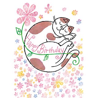 ポストカード【Happy Birthday きれいな花をあなたへ。】* おかべてつろう