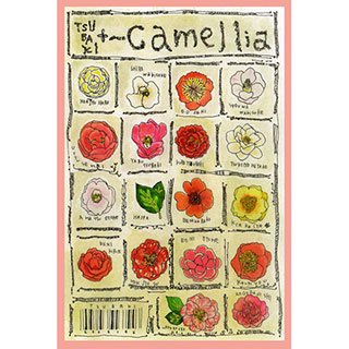 ポストカード【Camellia】* ETSU