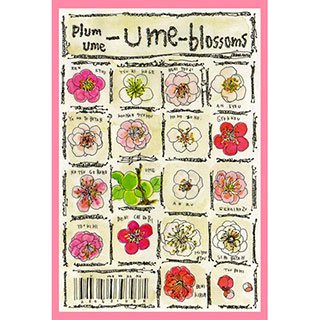 ポストカード【Ume-blossoms】* ETSU