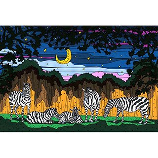 ポストカード【Zebra night】* seri