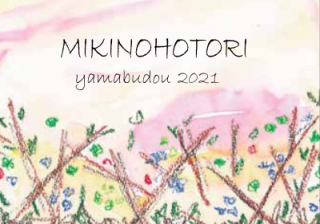 MIKINOHOTORI yamabudou 2021 (MIKINOHOTORIヤマブドウ）