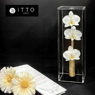 胡蝶蘭のドライフラワー専門店 Online Shop