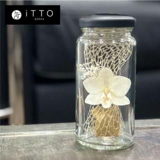 Bottle Flowerڥȥ졼ȡ<br>ܥȥե
