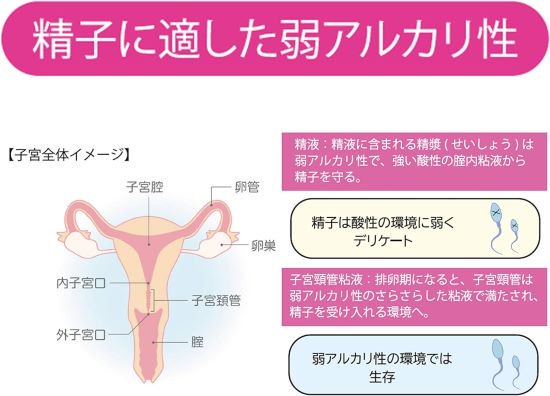 日本初！精子の活動に着目して開発された妊活対応ジェル！【ポジティブサポート妊活ジェル】 75ml - 三千里薬品