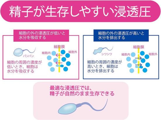 日本初！精子の活動に着目して開発された妊活対応ジェル！【ポジティブサポート妊活ジェル】 75ml - 三千里薬品