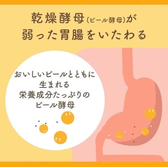 弱った胃腸を強力サポート！栄養補給を手助けする胃腸薬！EBIOS天然素材ビール酵母の「エビオス錠1200錠」 」【指定医薬部外品】 - 三千里薬品