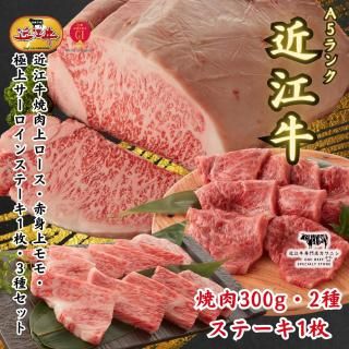 Ṿ300gֿȾ300g߶˾奵󥹥ơ1Ȣ3糧å