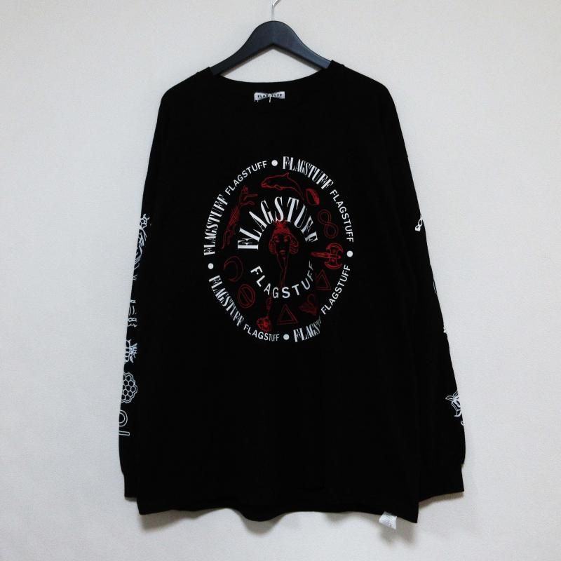 FLAGSTUFF beginning of life LS TEE