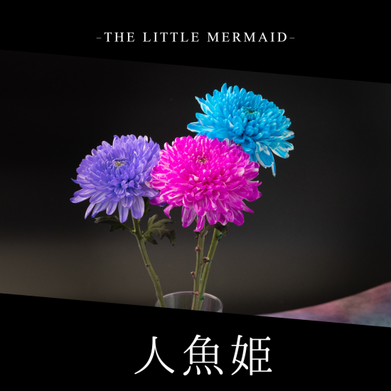 人魚姫 - Coloringmum IROHA