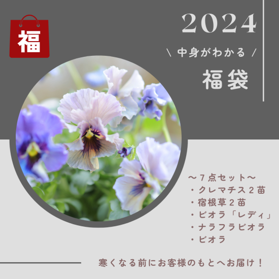 2024年】和花人の送料無料の福袋（8,500円相当）|お得な福袋特集 - 和