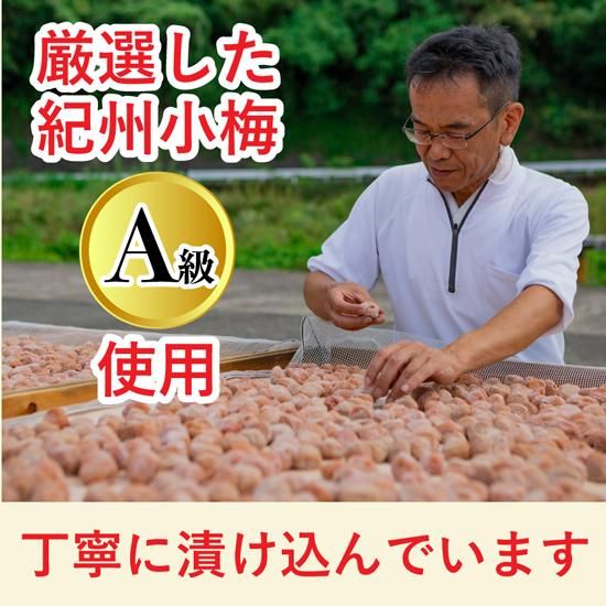 梅　小中サイズ　9キロ　美品 クロミ ニュースタンダードツメキリ M | 貝印公式オンラインストア