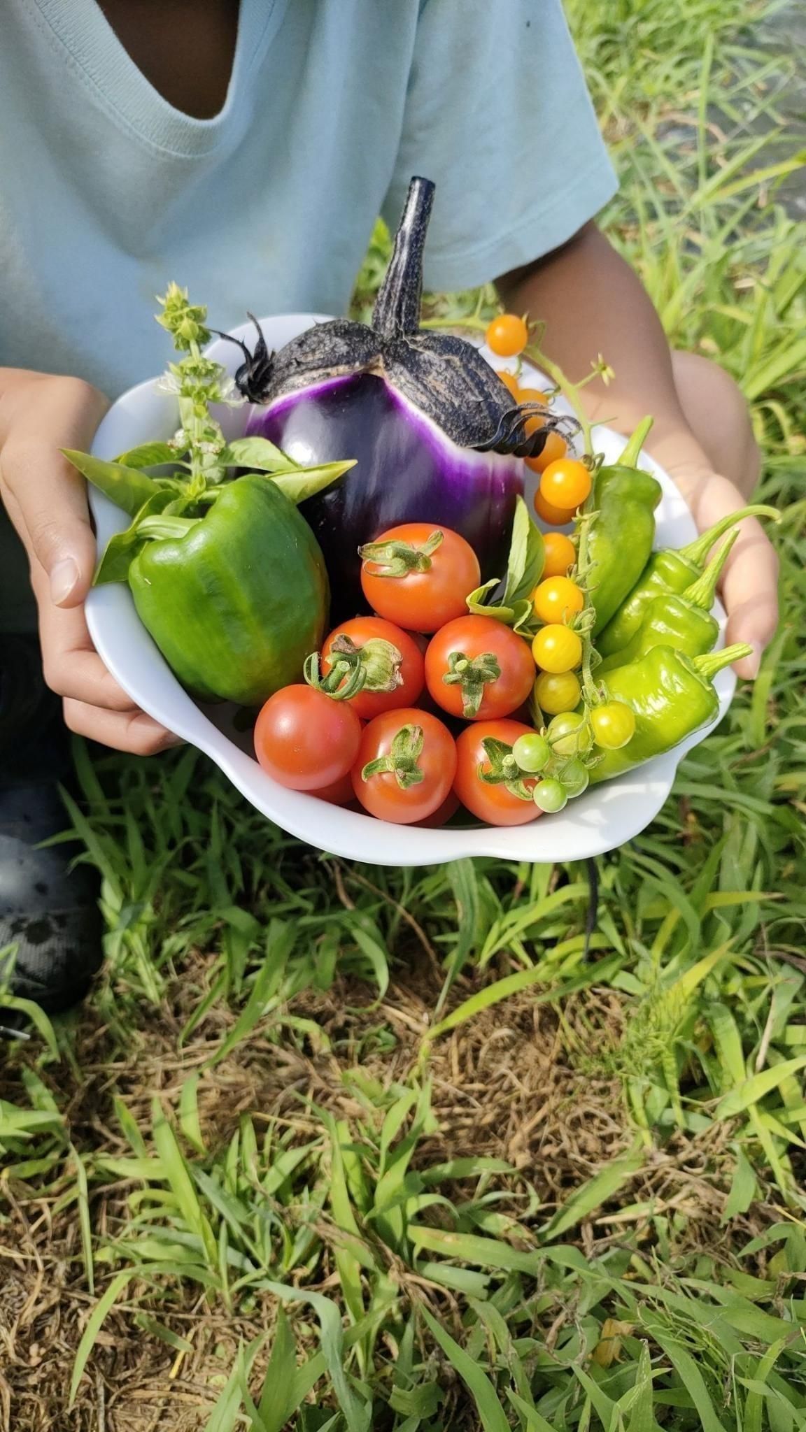 【無農薬・自然栽培】季節のお野菜セット - 八ヶ岳黄金村