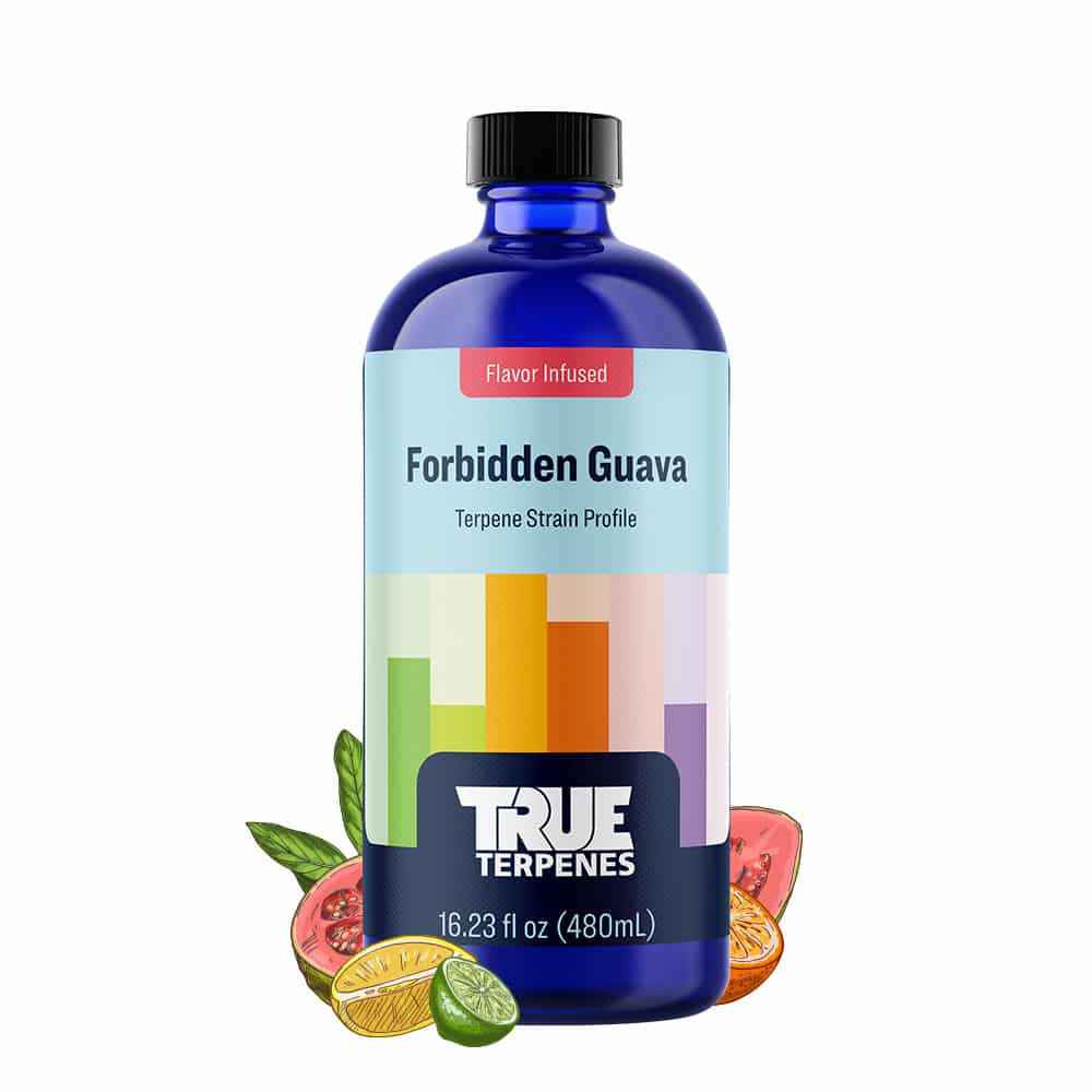 TRUE TERPENES -Flavor Infused Strains- Forbidden  Guava｜グァバ系トロピカルの香りとチーズ感｜ハイブリッド - BAYSIDE GLOBAL