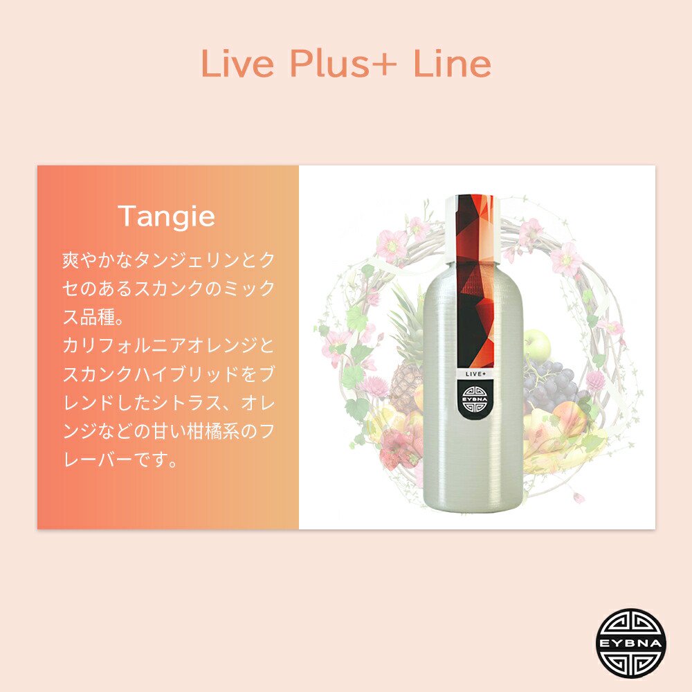 EYBNA -Live+ Line- Tangie｜爽やかなタンジェリンとクセのあるスカンクのミックス品種｜サティバ寄り - BAYSIDE  GLOBAL