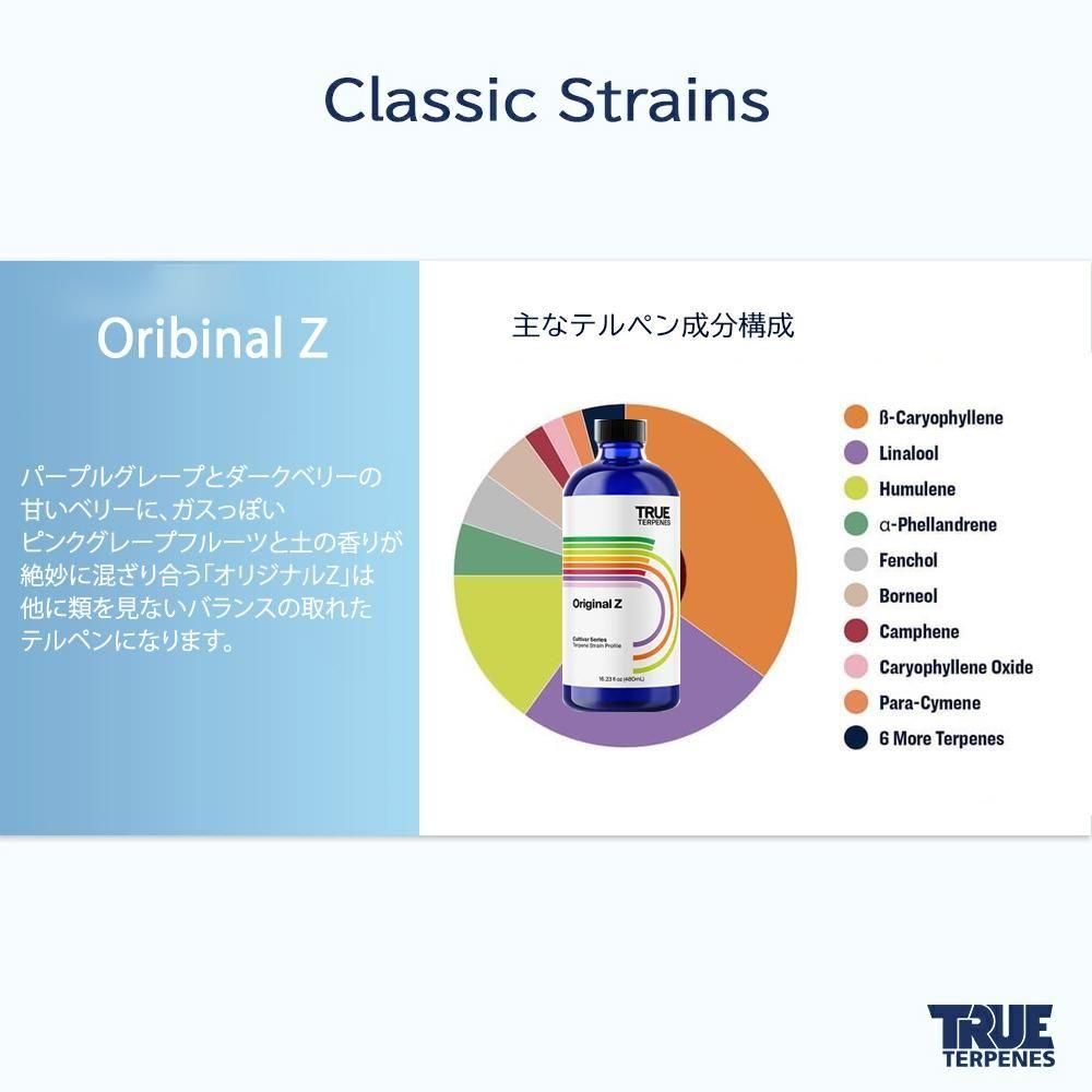 TRUE テルペン 香料 CBD CBN CBG 10ml ブラックベリー TRUE TERPENES - BAYSIDE GLOBAL