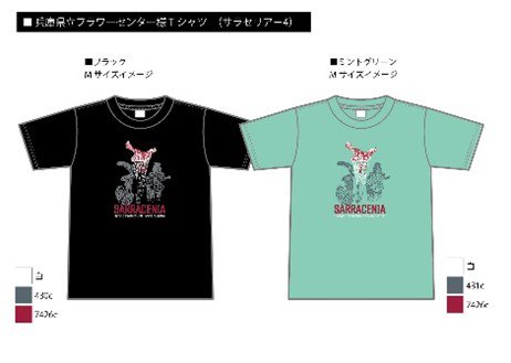 食虫植物Tシャツ（サラセニア） - シンエーフーヅ オンラインショップ