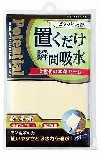 Potential ܳץEX P-53 ڥȥåȡ