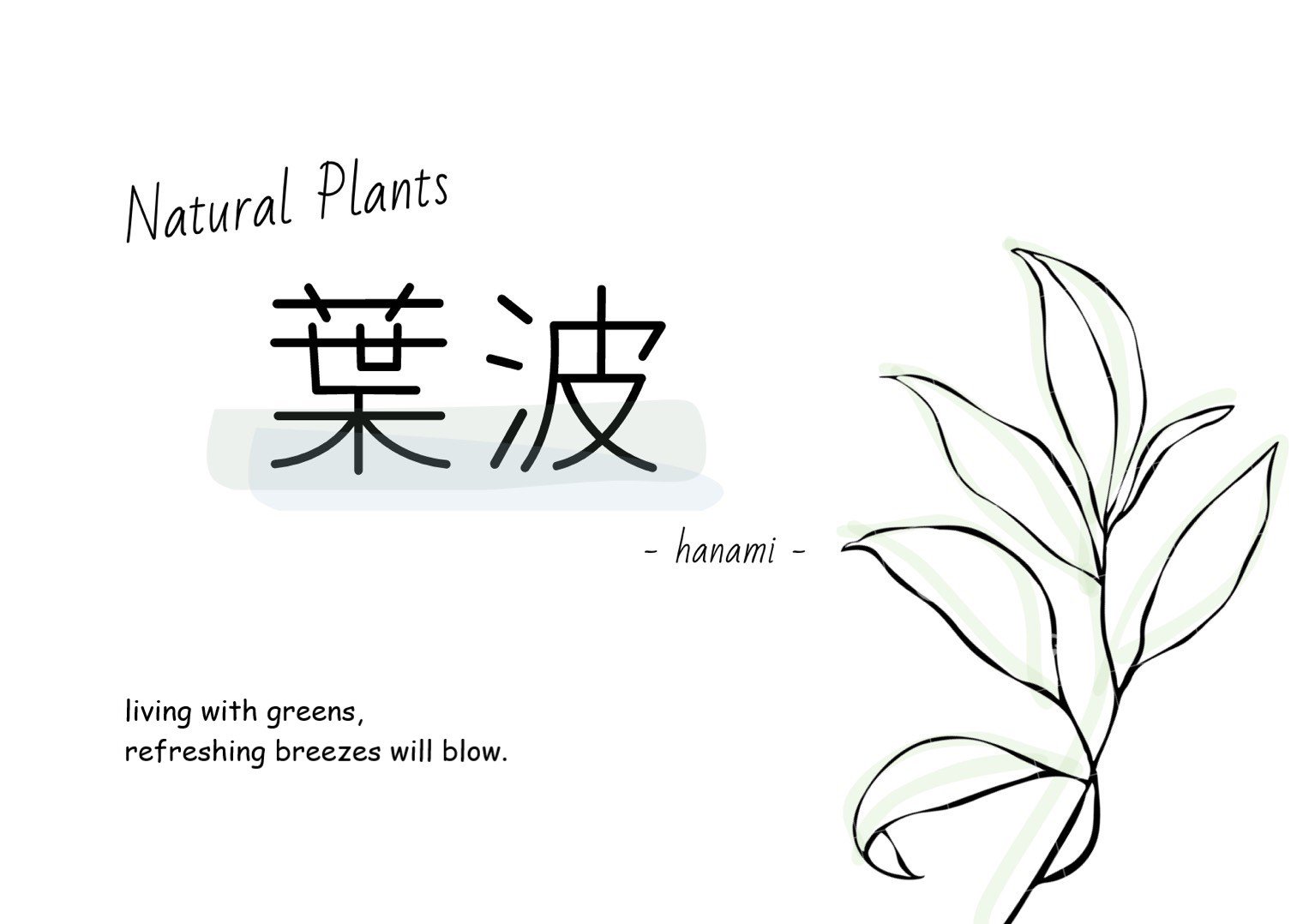 Ź Natural Plants  | ġݶ̡ߺϤ