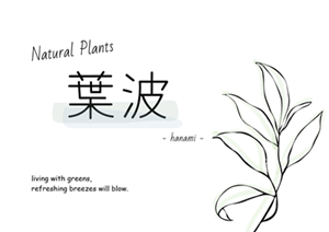 Ź Natural Plants  | ġݶ̡ߺϤ