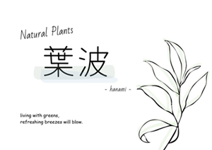 山野草専門店 Natural Plants 葉波 | 山野草苗・苔玉・石付盆栽の通販