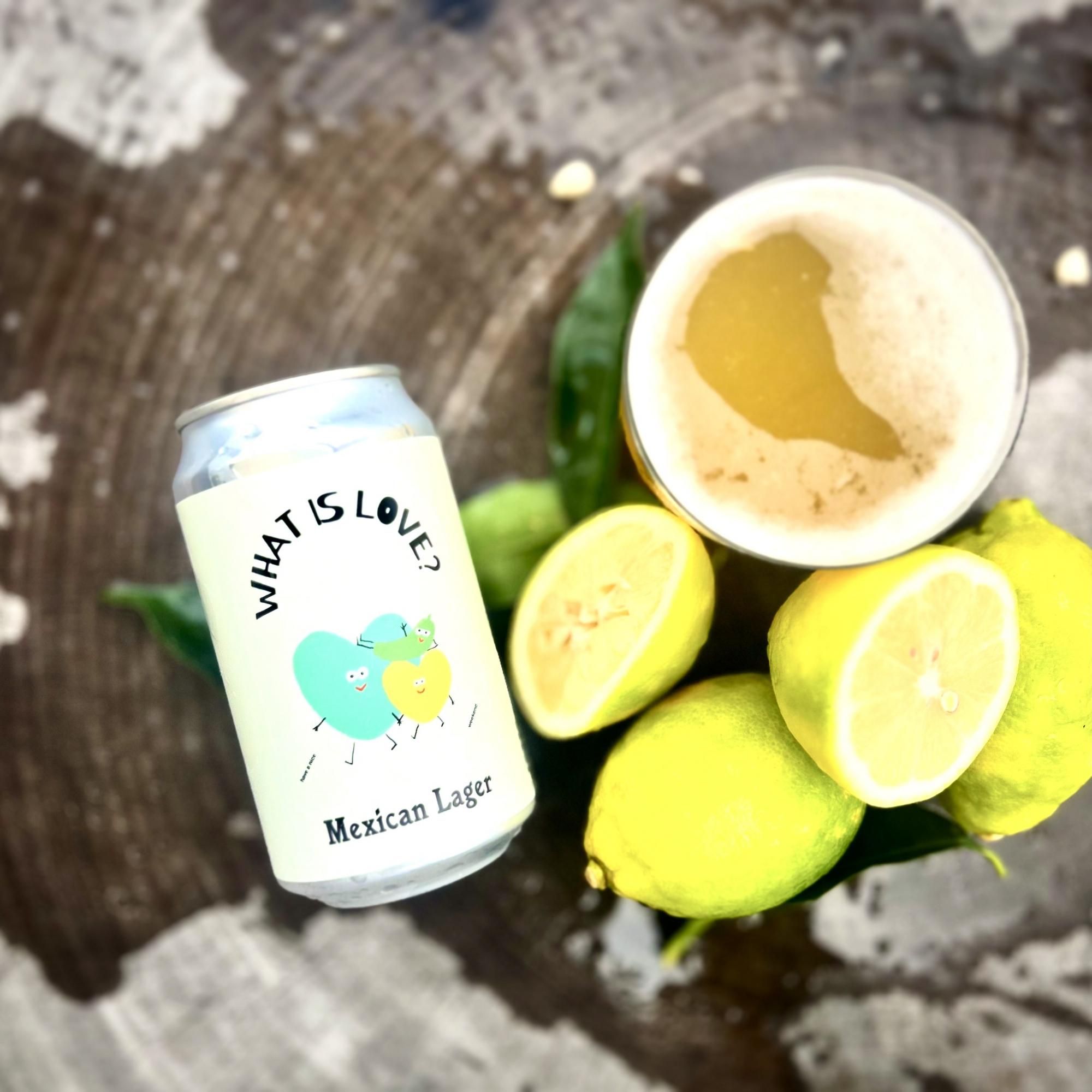 WHAT IS LOVE - Mexican Lagerۡ350ml̡6ܥå
