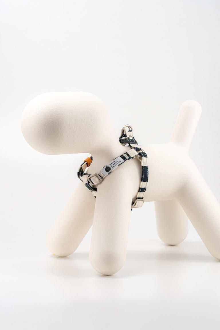 ZEBRA SERIES / HARNESSʥϡͥ