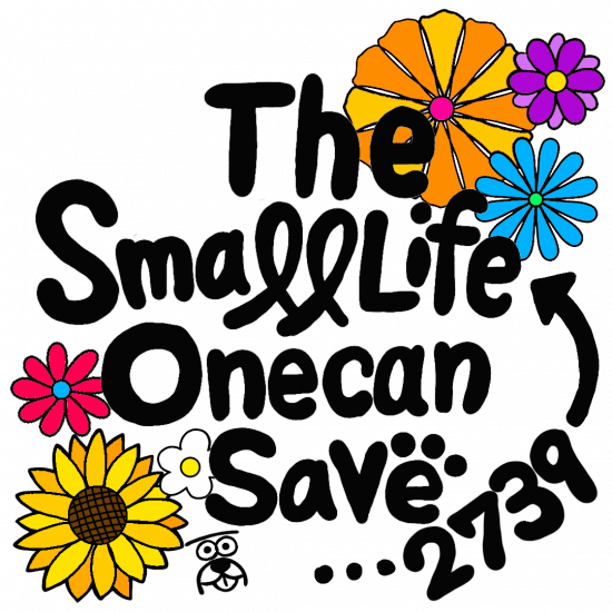 ݸưۥޥѥꥸʥ륫顼ƥå(50С50)