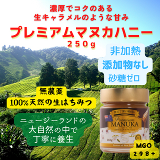 プレミアムマヌカハニー２５０Ｇ MGO２９８＋ 送料無料 - Manuka Wellness