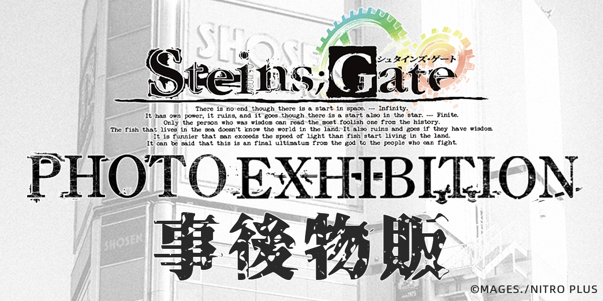 steinsgate