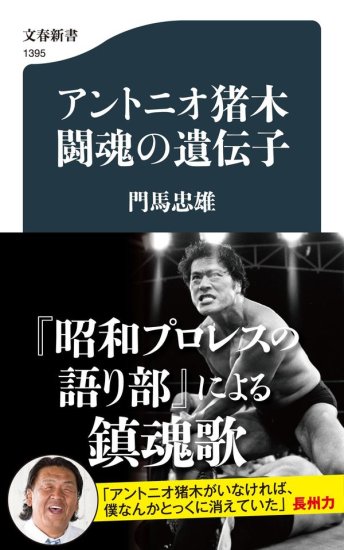 ライトブラウン/ブラック レア本‼︎ プロレス・ファン誌 29冊セット