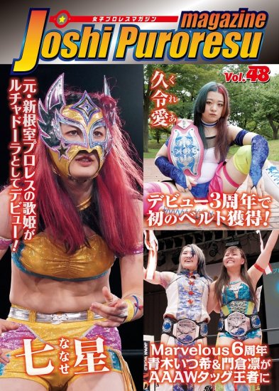 プロレス 雑誌 48冊