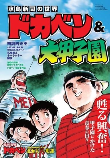 ドカベン全巻（1〜31巻）・大甲子園全巻（1〜17巻） 文庫版 セット