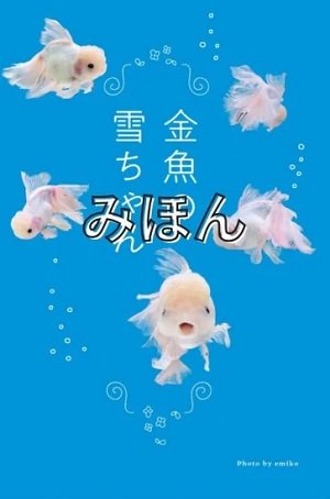 重版分】【特典つき】金魚の雪ちゃん ~君がいた奇跡の10か月~ - SHOSEN ONLINE SHOP