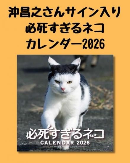メルカリで24時間以内に売れなければ300円❗️「みんな待ってる花猫ニャンコ」 メルカリで24時間以内に売れなければ 「みんな待ってる花猫