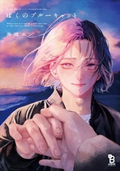 山口ねね☆シンデレラ、諦めました！　ほか　計２６冊　全巻セット 山口ねね☆シンデレラ、諦めました！ ほか 計26冊 全巻セット