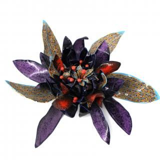 ¼ġ̡MURATA, Aya<br>In Bloom(Series)