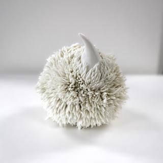   KONNO, Tomoko<br> ϤͤHedgehog