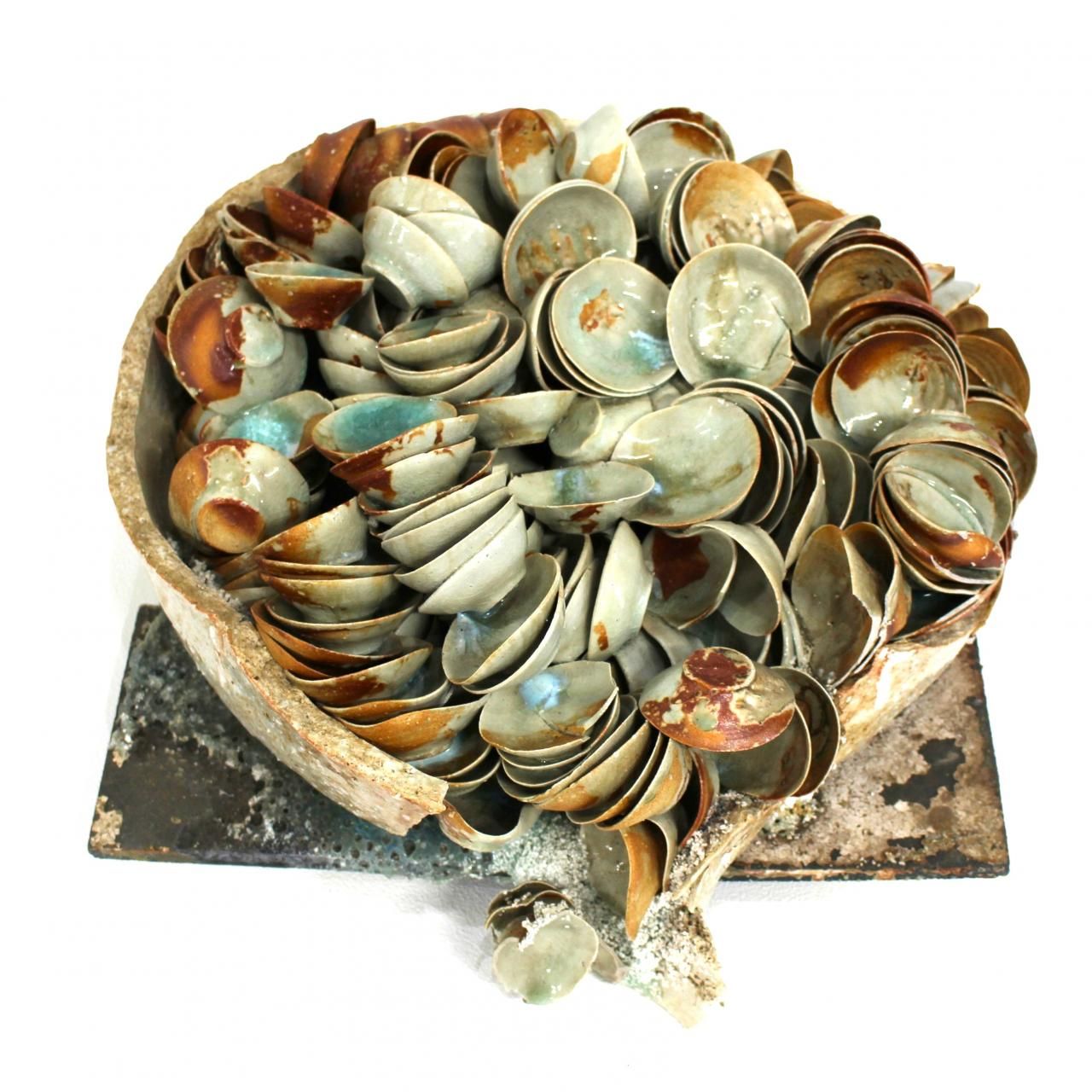 ���ڡ���  AOKI, Ken