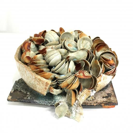 ���ڡ���  AOKI, Ken