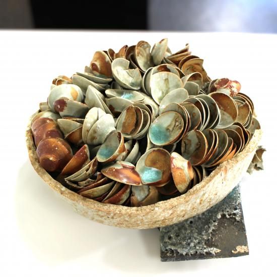 ���ڡ���  AOKI, Ken